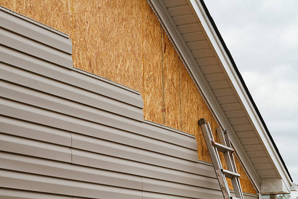 Professional Siding Repair technician working in Trenton, IL